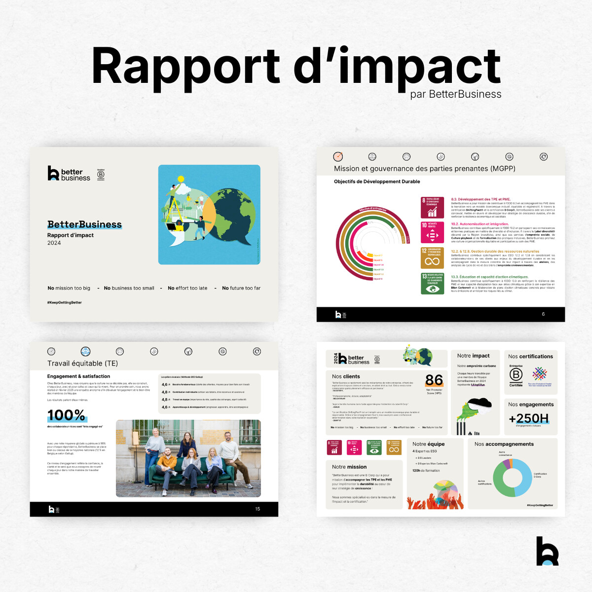 rapport d'impact